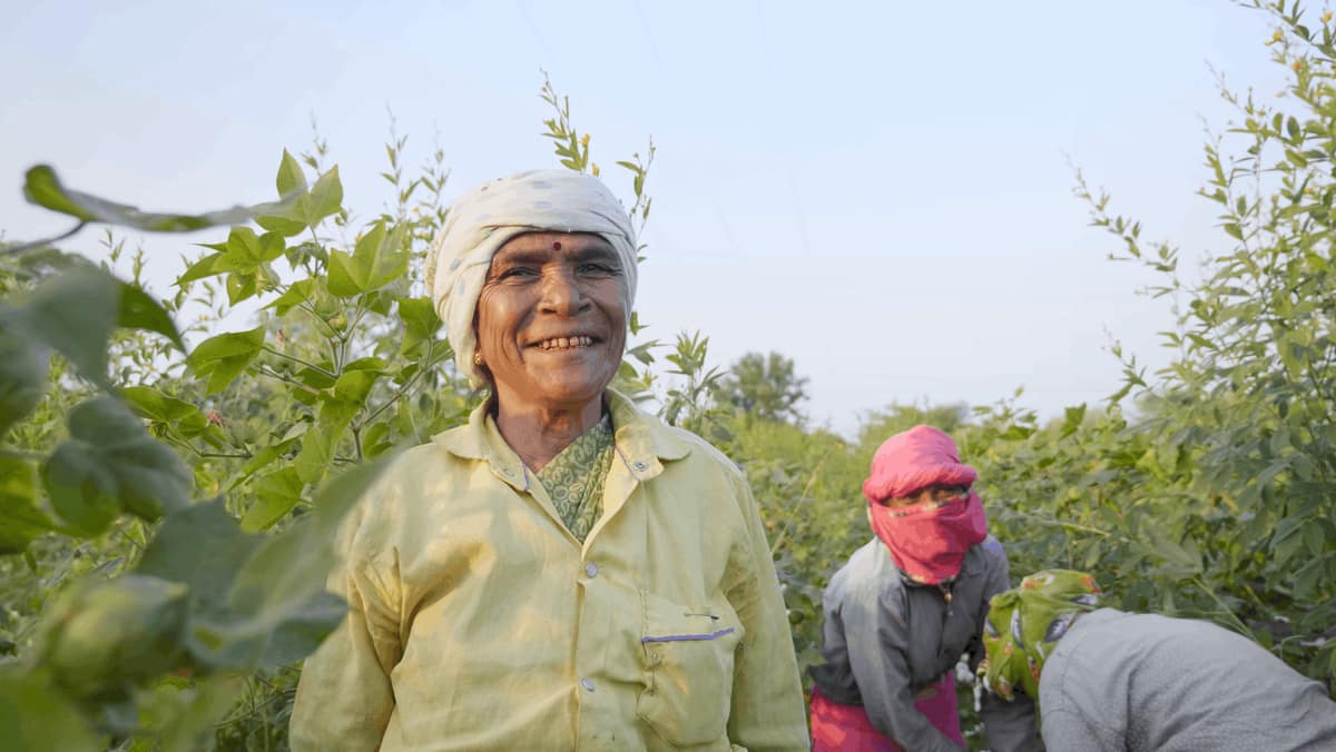 Women farm workers harvesting in a green field